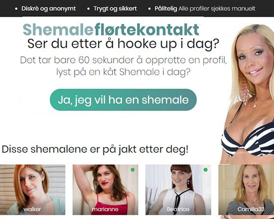 Shemale Florte Kontakt. Logo